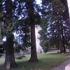 Resize of SPM_A0028